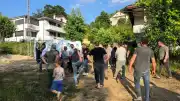 Sakarya Akyazı'da ıhlamur toplarken ağaçtan düşen yaşlı adam hayatını kaybetti