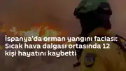 İspanya'da Orman Yangını: Sıcak Hava Dalgası Esnasında 12 Kişi Yaşamını Yitirdi