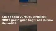 Çin'de Sel Felaketi Sonrası Yılan Üretim Çiftliğinde Acil Durum İlan Edildi
