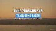 Anne Yunus, Ölü Yavrusunu 6 Gün Boyunca Taşıdı
