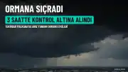 Tekirdağ Malkara'da anız yangını ormana sıçradı: 3 saatte kontrol altına alındı