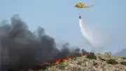 İspanya'da Yangın Felaketi: Almeria Eyaletinde En Az 12 Kişi Hayatını Kaybetti
