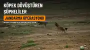 Aksaray'da Köpek Dövüştüren 3 Şüpheliye Adli İşlem Yapıldı
