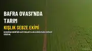 Bafra Ovası'nda Kışlık Sebze Ekimi İçin Geri Sayım Başladı