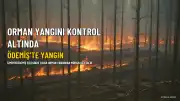 İzmir'in Ödemiş İlçesinde Orman Yangını Kontrol Altına Alındı
