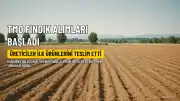 TMO, Karadeniz'de Fındık Alımlarına Başladı: Üreticiler İlk Ürünlerini Teslim Etti