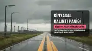 Türkiye'den Avrupa'ya İhracatta Kimyasal Kalıntı Paniği: Biber ve Nektarinlerde Yüksek Risk