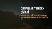 27 İlde Orman Sınırları Yeniden Belirlendi: Muğla'ya Yaklaşık 2 Milyon Metrekarelik Alan Tahsis Edildi