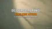 Diş Gıcırdatma (Bruksizm) Gençlerde Artıyor mu? Uzmanlar Endişeli