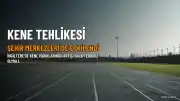 İngiltere'de Kene Alarmı: Şehir Merkezleri de Risk Altında