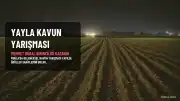 Karabağlar Yaylası'nda Kavun Yarışması'nda Birincilik Mehmet Dural'ın Oldu