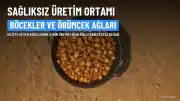 Kilis'te Hijyen Kurallarına Aykırı Üretim Yapan İşletmeye 396 Bin TL Ceza