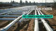 Pasifik Okyanusu'nda Sönmüş Sanılan Sualtı Volkanı Yeniden Aktifleşti: Dev Yumurta Kuluçka Merkezine Dönüştü