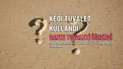 Pınar Sabancı'nın Kedisi Dante Tuvalet Kullanmayı Öğrendi