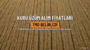 TMO'nun Çekirdeksiz Kuru Üzüm Alım Fiyatı Belirlendi