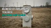 Uzmanlardan Bilinçsiz Toplanan Otlar Hakkında Uyarı: Şifa Yerine Zehir Olabilir