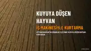 Afyonkarahisar'da Kuyuya Düşen Büyükbaş Hayvan İş Makinesiyle Kurtarıldı