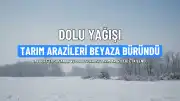 Bayburt'ta Sağanak ve Dolu Afeti: Tarım Arazileri Beyaza Büründü