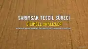Domaniç Çamlıca Sarımsağı İçin Coğrafi İşaret Tescil Süreci Devam Ediyor