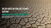İklim Krizi Beyin Sağlığını Tehdit Ediyor: Nörolojik Hastalıklar Artıyor