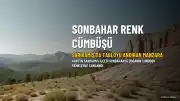 Sarıkamış'ta Sonbaharın Renk Cümbüşü: Yüksek Rakımlı İlçe Tabloyu Andırıyor
