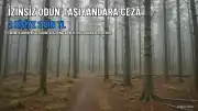 Uzunköprü'de Hazine Arazisinden Odun Taşıyan İki kişiye İdari Para Cezası