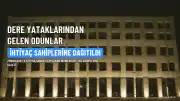 Zonguldak'ta Fırtınanın Sürüklediği Ağaçlar İhtiyaç Sahiplerine Dağıtıldı