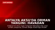 Antalya Aksu'da Orman Yangını: Havadan ve Karadan Müdahale Sürüyor
