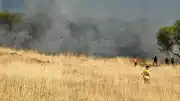 Ayvalık Sakarya Mahallesi'nde Otluk Alanda Yangın Çıktı
