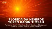 Florida'da Nehirde Yüzen Kadın Timsah Saldırısında Hayatını Kaybetti