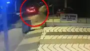 Maltepe'deki Kaçırma Olayına İlişkin Soruşturmada Gözaltı Sayısı 12'ye Çıktı