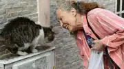 Sinema Sanatçısı ve Hayvan Hakları Savunucusu Emel Yıldız Son Yolculuğuna Uğurlandı