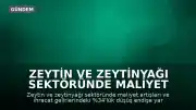 Zeytin ve Zeytinyağı Sektöründe Maliyet ve İhracat Kaygısı: Sektör Temsilcilerinden Uyarılar