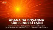 Adana'da Boşanma Sürecindeki Eşini Bıçaklayarak Ağır Yaralayan Şahıs Tutuklandı