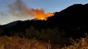 Antalya'nın Akseki İlçesinde Ormanlık Alanda Yangın Çıktı