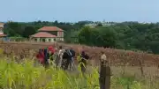 Bafra'da 92 Yaşındaki Kadının Tarlasında Yanmış Cesedi Bulundu