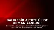 Balıkesir Altıeylül'de Orman Yangını: Müdahale Devam Ediyor