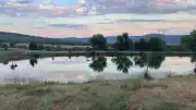 Bolu Kıbrıscık'ta Gölette Kaybolan Şahıs İçin Arama Çalışmaları Başlatıldı