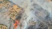 Denizli Pamukkale'de Orman Yangını Çıktı