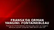 Fransa'da Orman Yangını: Fontainebleau Ormanı'nda Bin 980 Dönüm Alan Kül Oldu