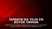 İspanya'da Yılın En Büyük Orman Yangını: 12 Bin Hektarlık Alan Tahrip Oldu