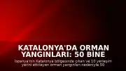 Katalonya'da Orman Yangınları: 50 Bine Yakın Kişi Tahliye Edildi