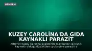 Kuzey Carolina'da Gıda Kaynaklı Parazit Salgını: Vaka Sayısı 561'e Ulaştı