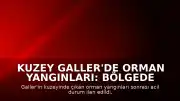 Kuzey Galler'de Orman Yangınları: Bölgede Acil Durum İlan Edildi