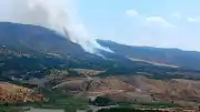 Malatya Pütürge'de Orman Yangını Çıktı
