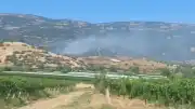 Manisa Sarıgöl'de maki yangını ormana sıçradı