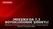 Meksika'da 7,3 Büyüklüğünde Şiddetli Deprem: Tsunami Uyarısı Yapıldı