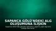 Sapanca Gölü'ndeki Alg Oluşumuna İlişkin Bilimsel Açıklama: Su Kalitesi Korunuyor