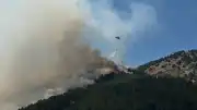 Sincik Kaymakamı Fatih Yıldız: "Yangına karadan çok sayıda arazöz ve ekip, havadan ise 2 yangın söndürme helikopteri ile müdahale edilmektedir"
