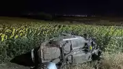 Tekirdağ Çorlu'da Otomobil Ayçiçeği Tarlasına Devrildi: 5 Yaralı